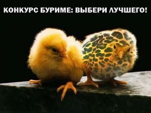 Цыплят по осени считают
