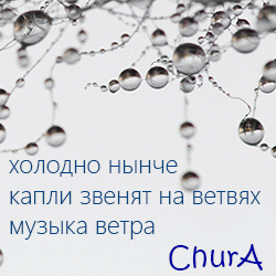 Светофор 2017. Лучшие Хокку