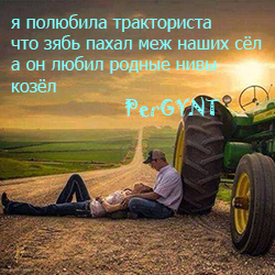 Пирожки на Решетории
