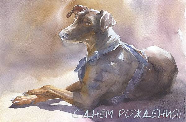 Год Собаки
