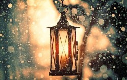 ОтверткаФест