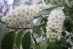 Конец сезона