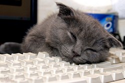 Вернувшись с работы