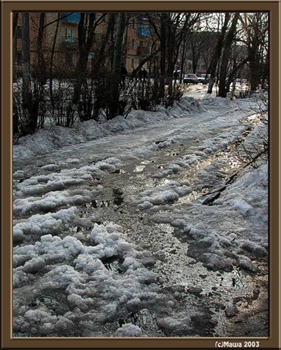 по набрякшей весне...