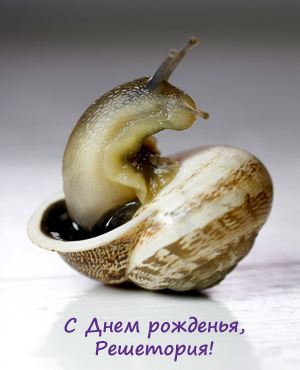 С Днем рожденья, Решетория!