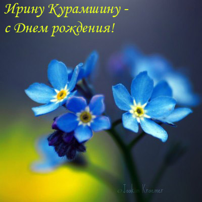 Ирину Курамшину - с Днем рожденья!