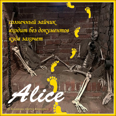 Alice ��������� ������