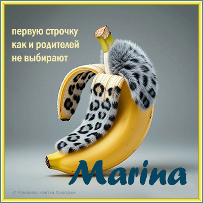 Marina ������ �������