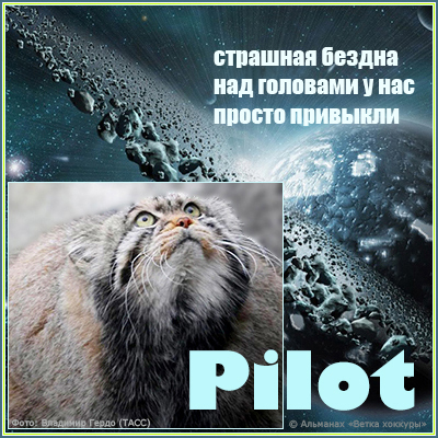 Pilot �������� ������