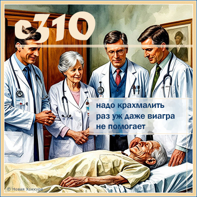 c310 ���� ����������