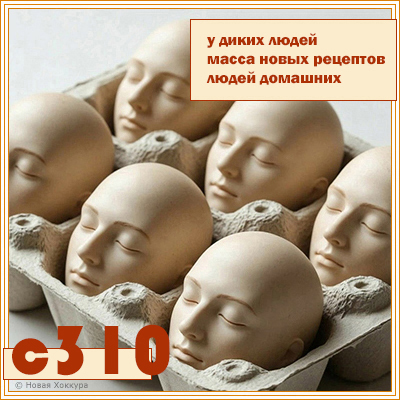 c310 � ����� �����