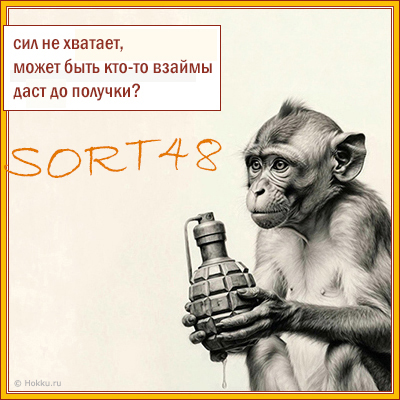 SORT48 ��� �� �������