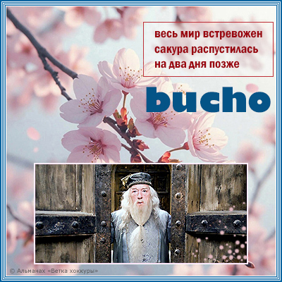 bucho ���� ��� � �������