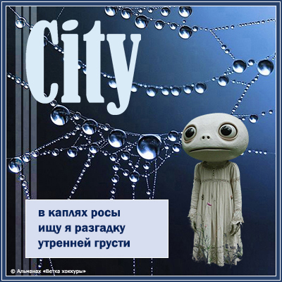 City в каплях росы