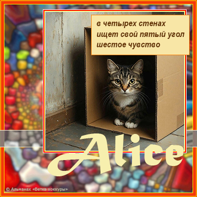 Alice в четырех стенах