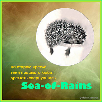 Sea-of-Rains на старом кресле