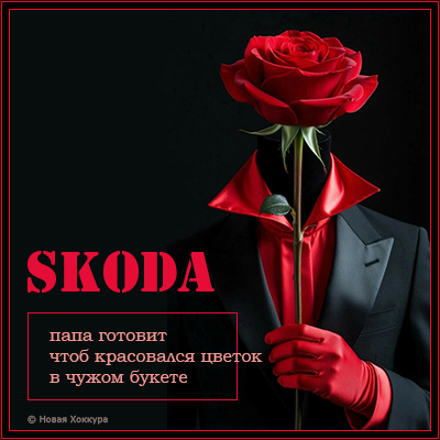 skoda папа готовит