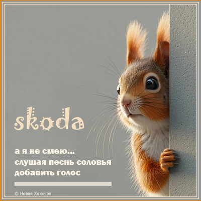 skoda � � �� ����