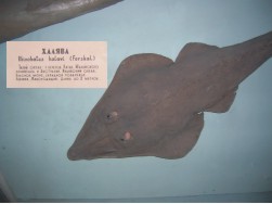 Халява