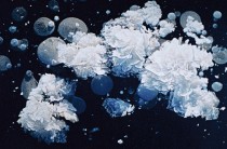 Снежная королева