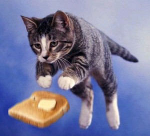 Кошка с маслом