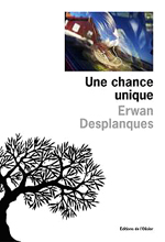  .   (Erwan Desplanques. Une chance unique)