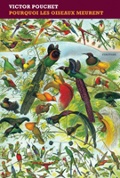 Victor Pouchet. Pourquoi les oiseaux meurent