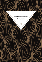 Marcus Malte. Le garçon