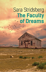 Sara Stridsberg. The Faculty of Dreams