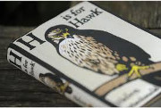 H is for Hawk