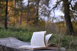 Книги в парках