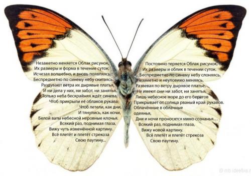 Бабочка четвёртая, порхающая в ясную погоду (апрель) Бабочка четвёртая, порхающая в ясную погоду (апрель)