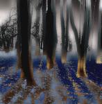 В тёмно-синем лесу