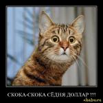 удивился ) удивился )