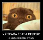 вот это точно вот это точно