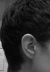 ear